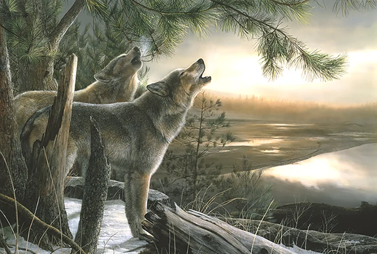 075 Call Of The Wild Wolves The Art Of Kevin Daniel