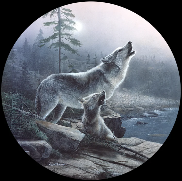 273 The Howling copy.jpg