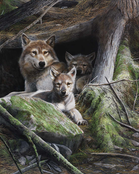 WILDLIFE ART PRINT Search for Survival by Kevin Daniel Wolf Wolves Poster 19x13 