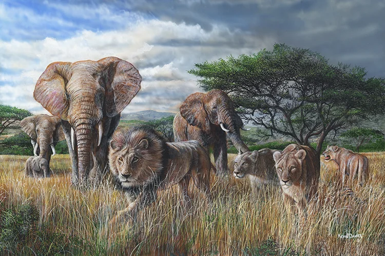  African Tempest - Elephants 