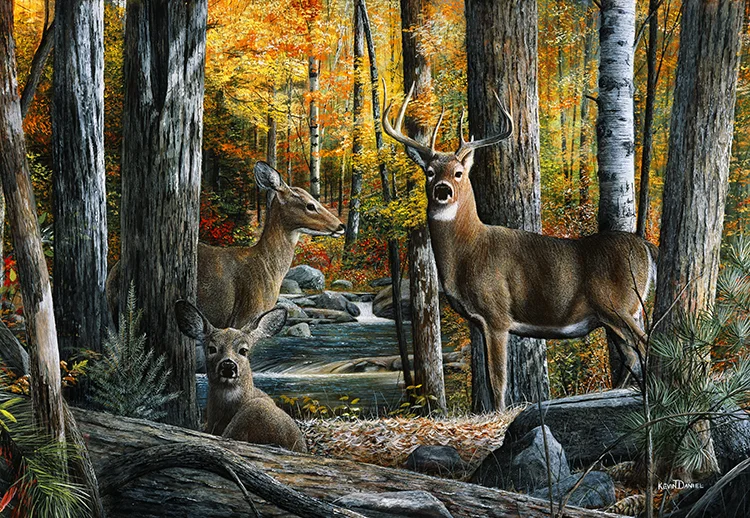 Broken Silence II - Whitetail Deer 