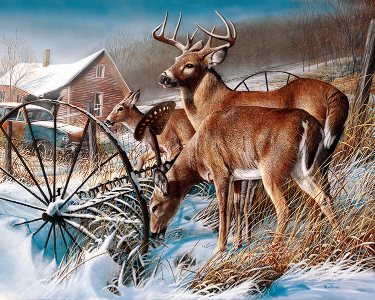  Snow Drifters - Whitetail Deer