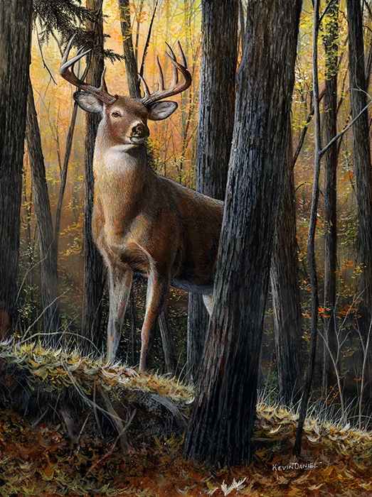 Autumn Monarch - Whitetail Deer