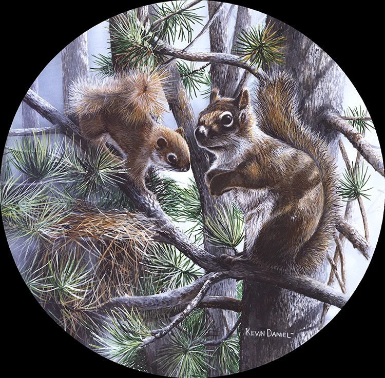 056 Squirrel copy.jpg