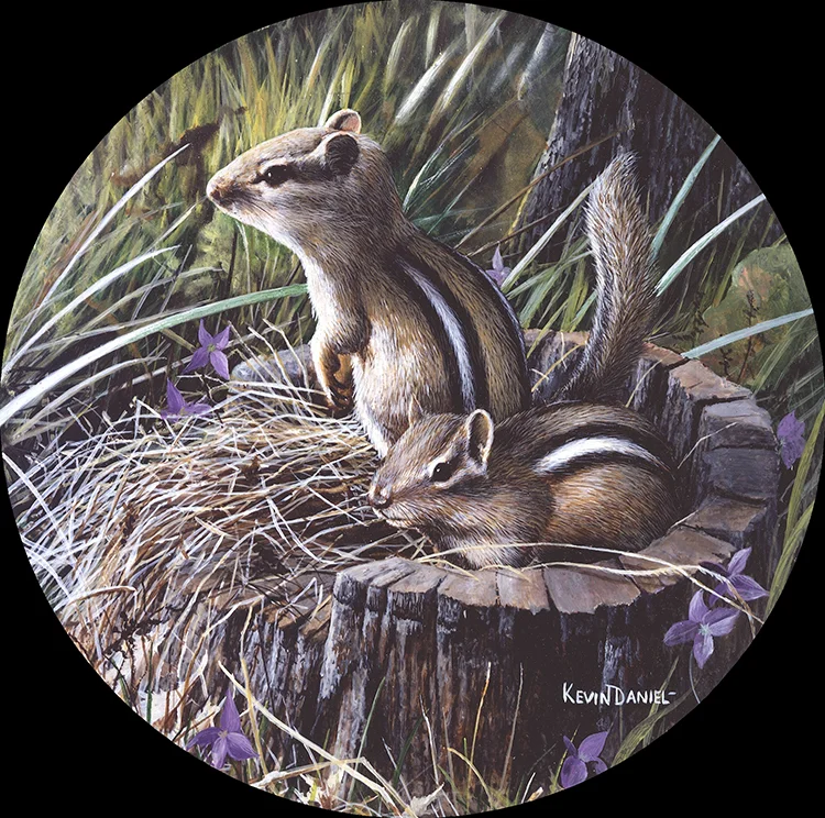 057 Chipmunk copy.jpg