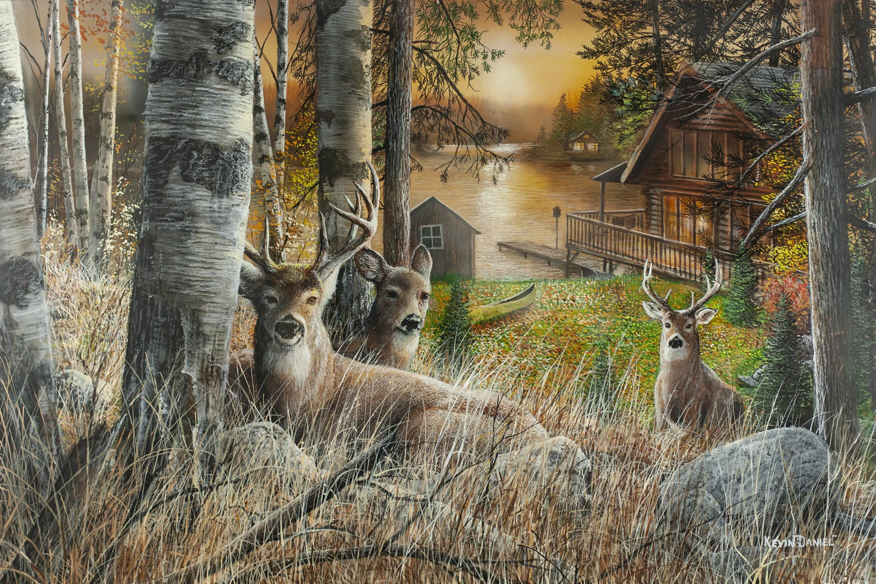 End Of Day - Whitetail Deer