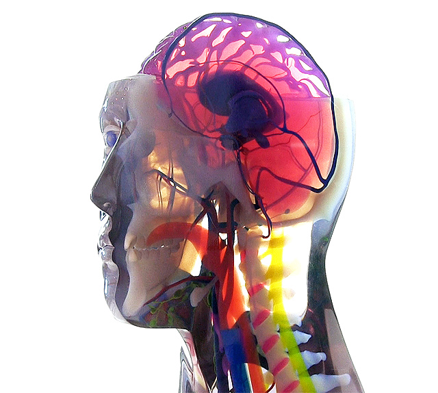 Digital Perspectives Image .jpg