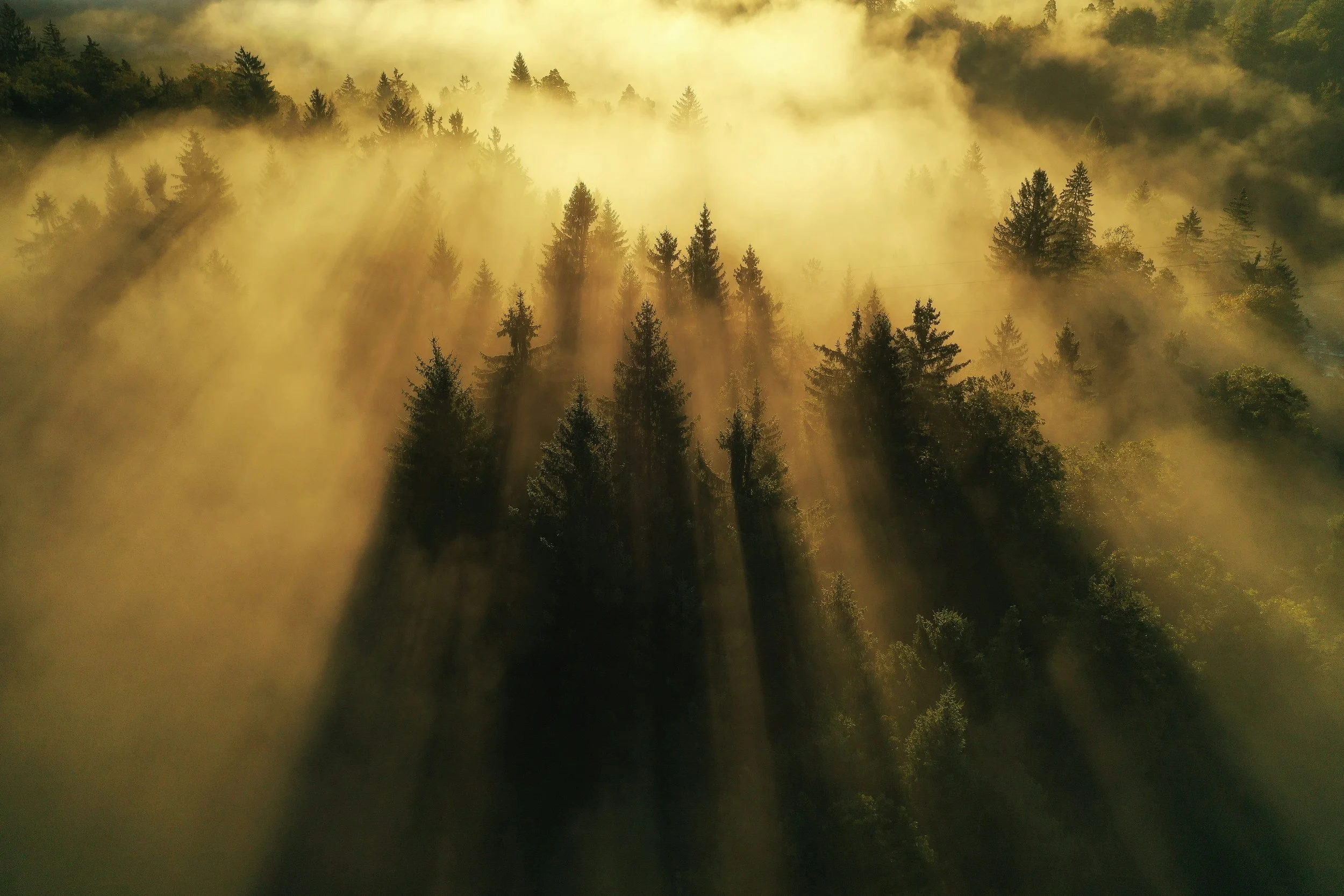 March Spark Talk (Carrickfergus): Rewilding God: Beyond the God We Once Knew