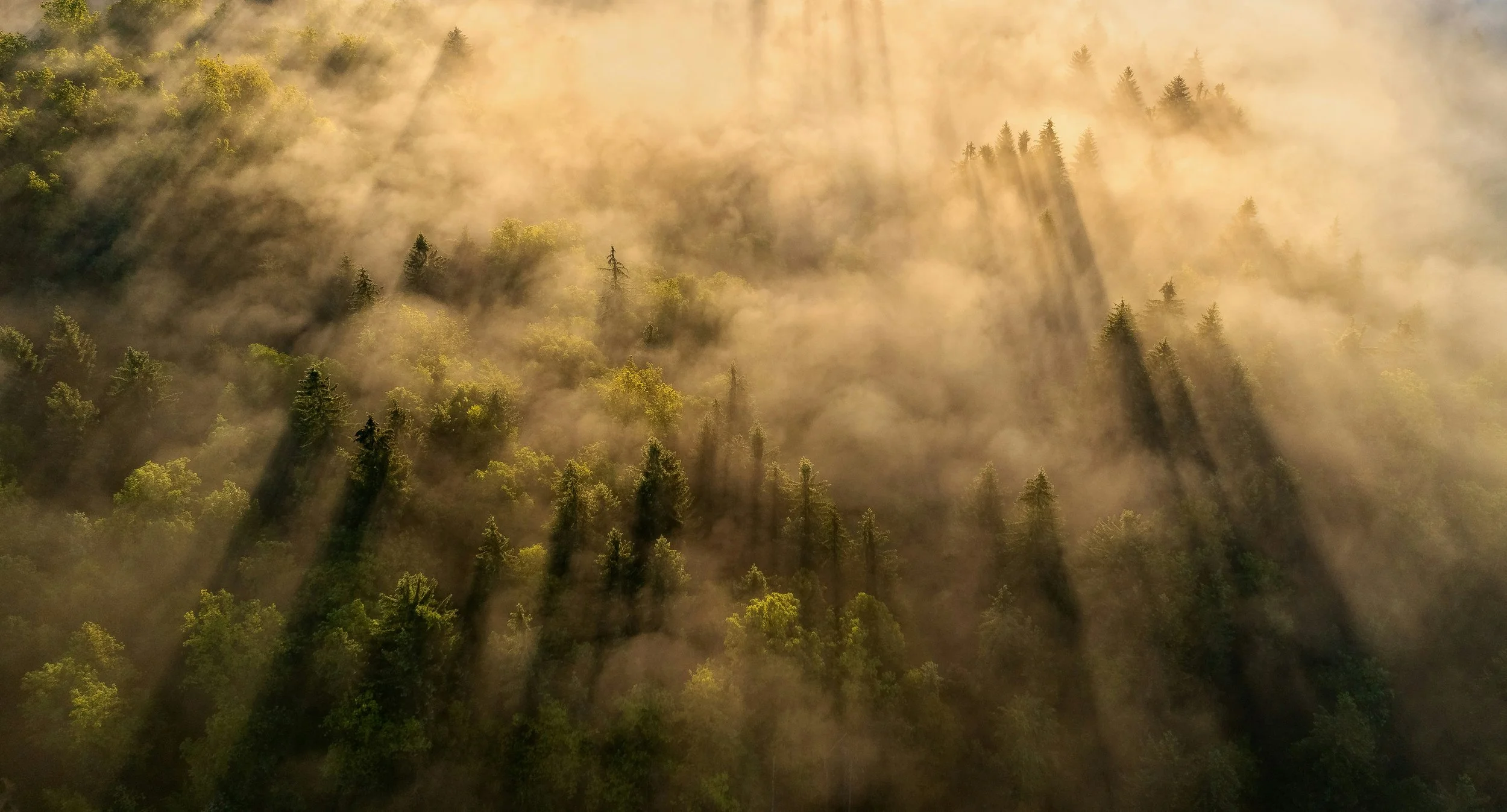 Rewilding God Week 1