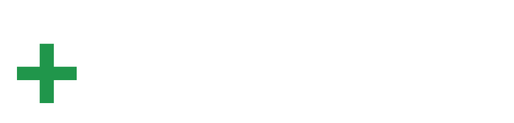 plus one auto logo-02.png