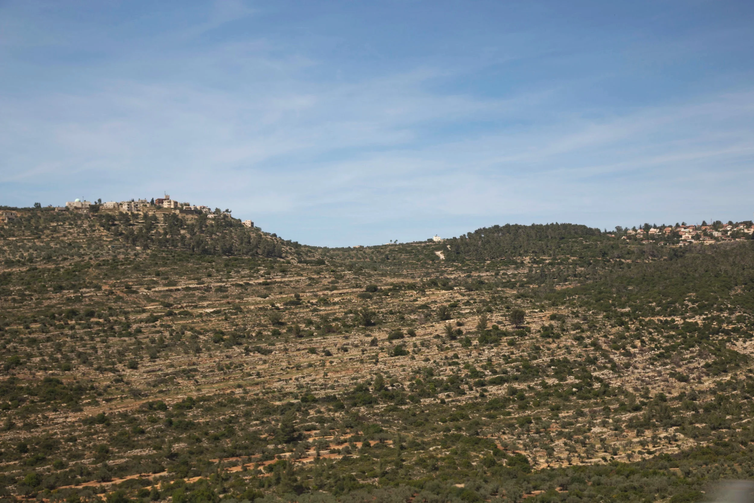 VisitPalestine_Visits_053.jpg