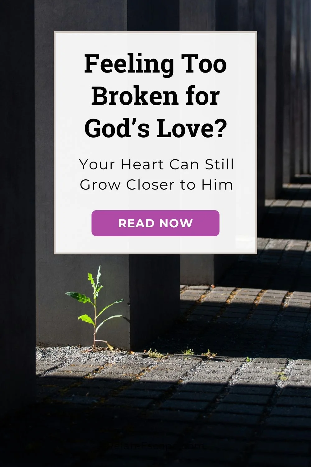 Pinterest pin with blog post title and a single plant growing up from sidewalk