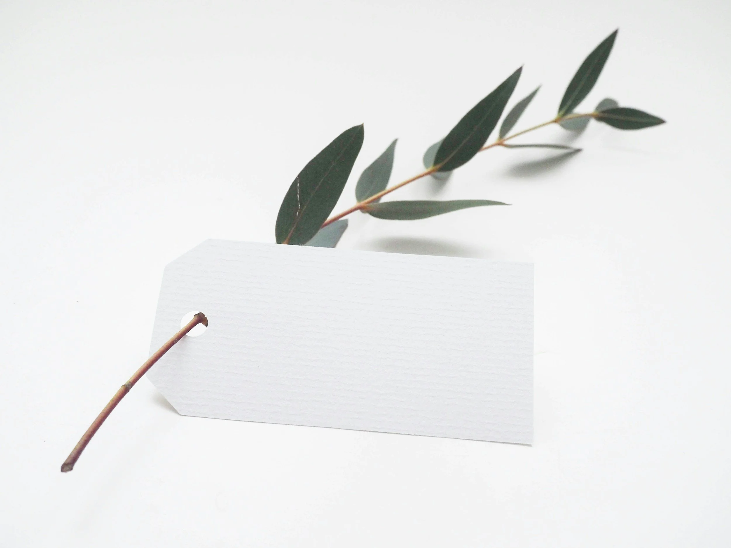 Who Does God Say You Are? How to Ditch Old Labels and Step Into Your True Biblical Identity