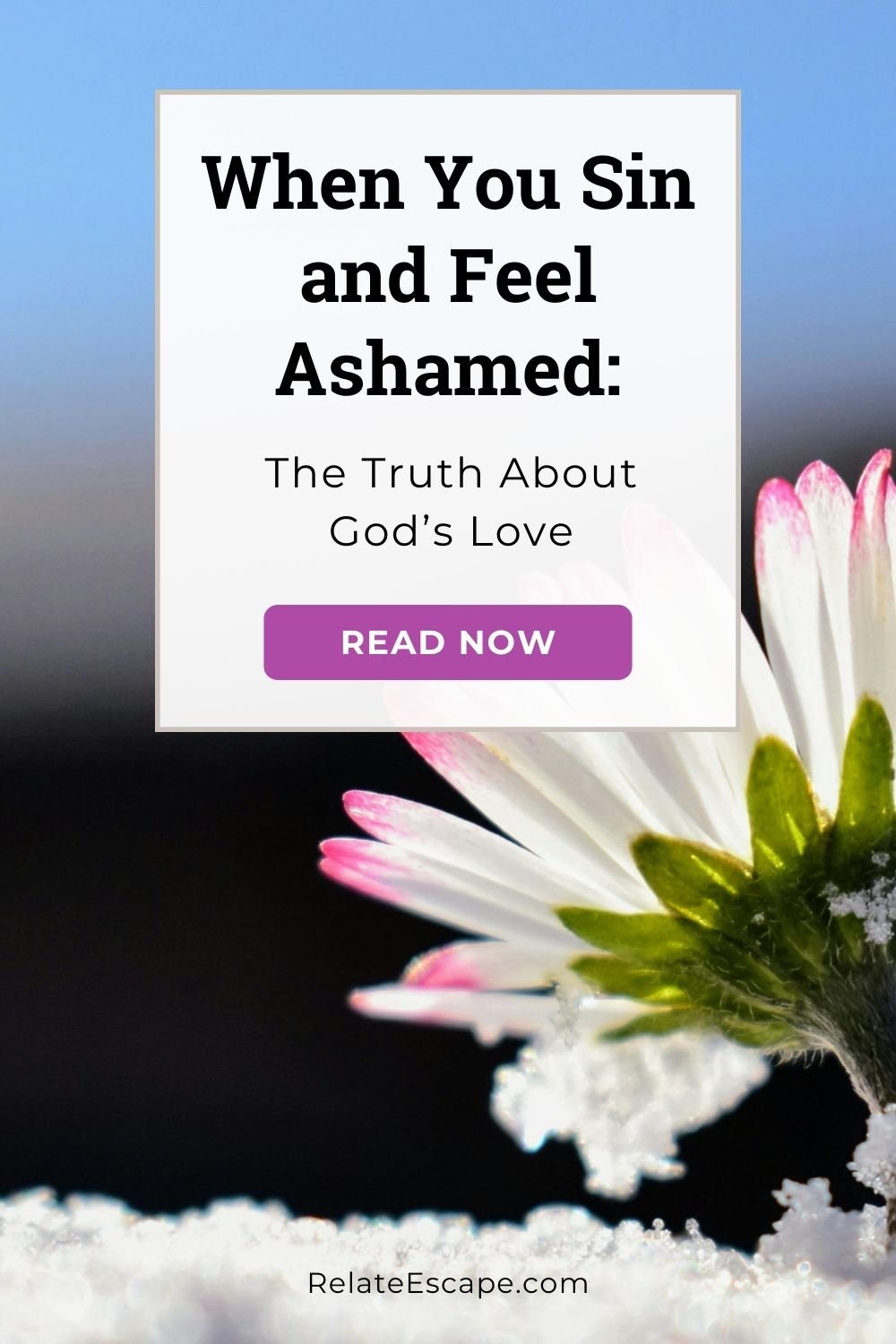 Pinterest pin with variation of blog post title and a flower emerging from the snow