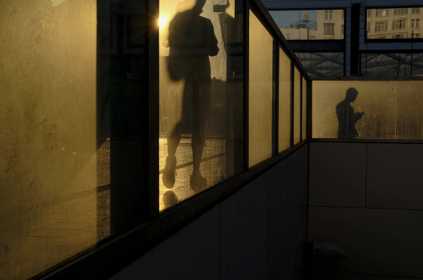 _DSF6766.jpg