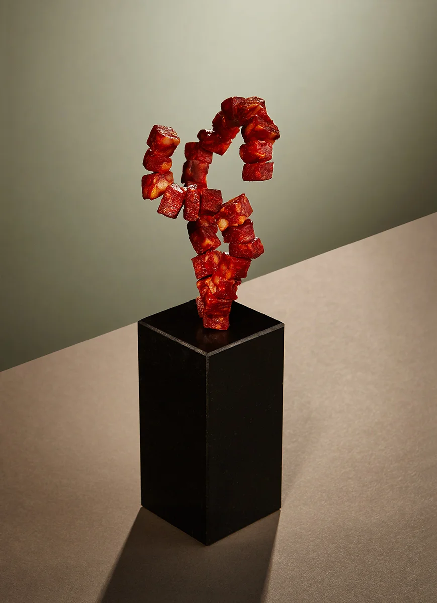seahorse_final_cropped.jpg
