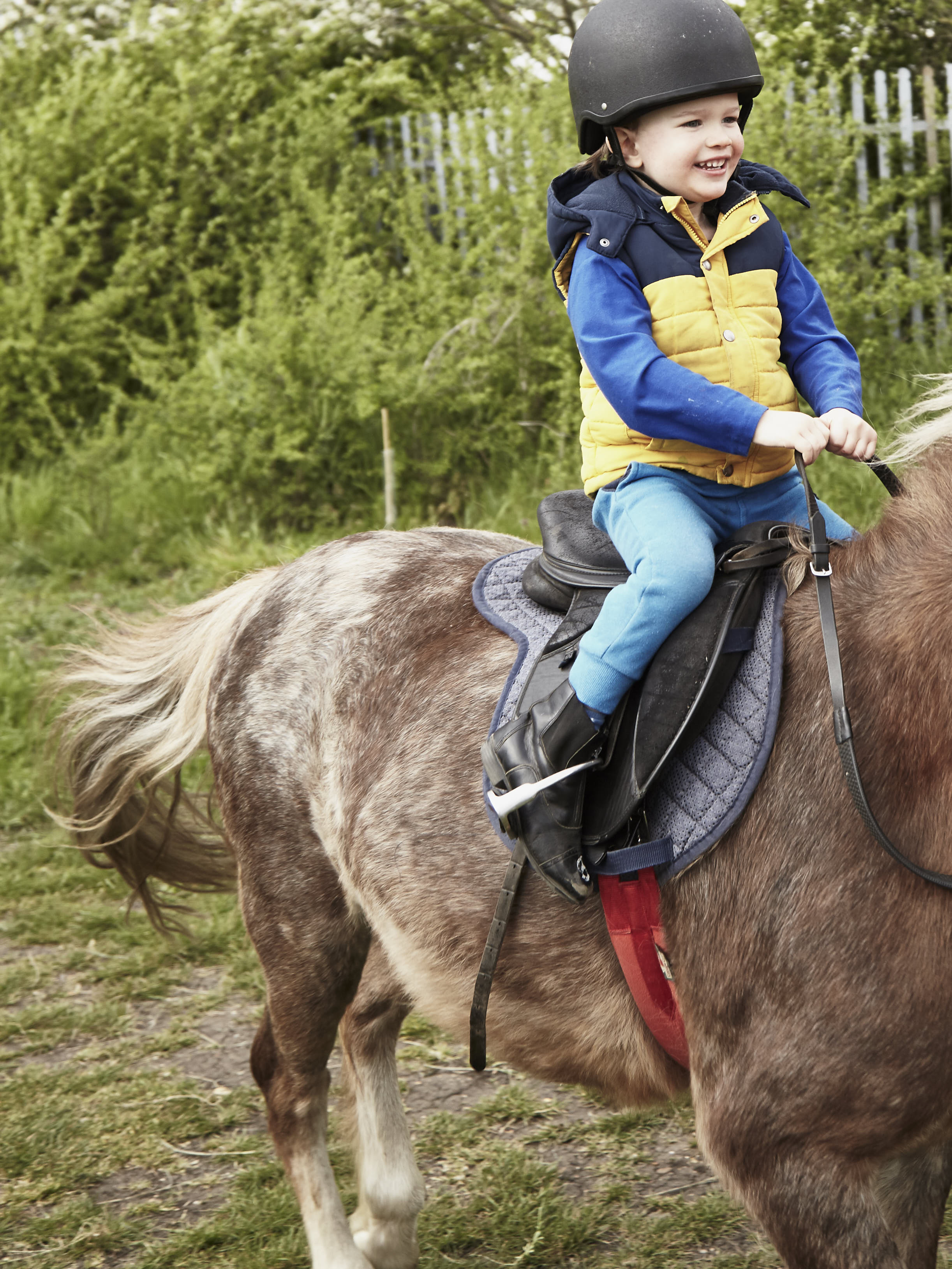 2019_04_24_arthur_leevalley__MG_0260.jpg