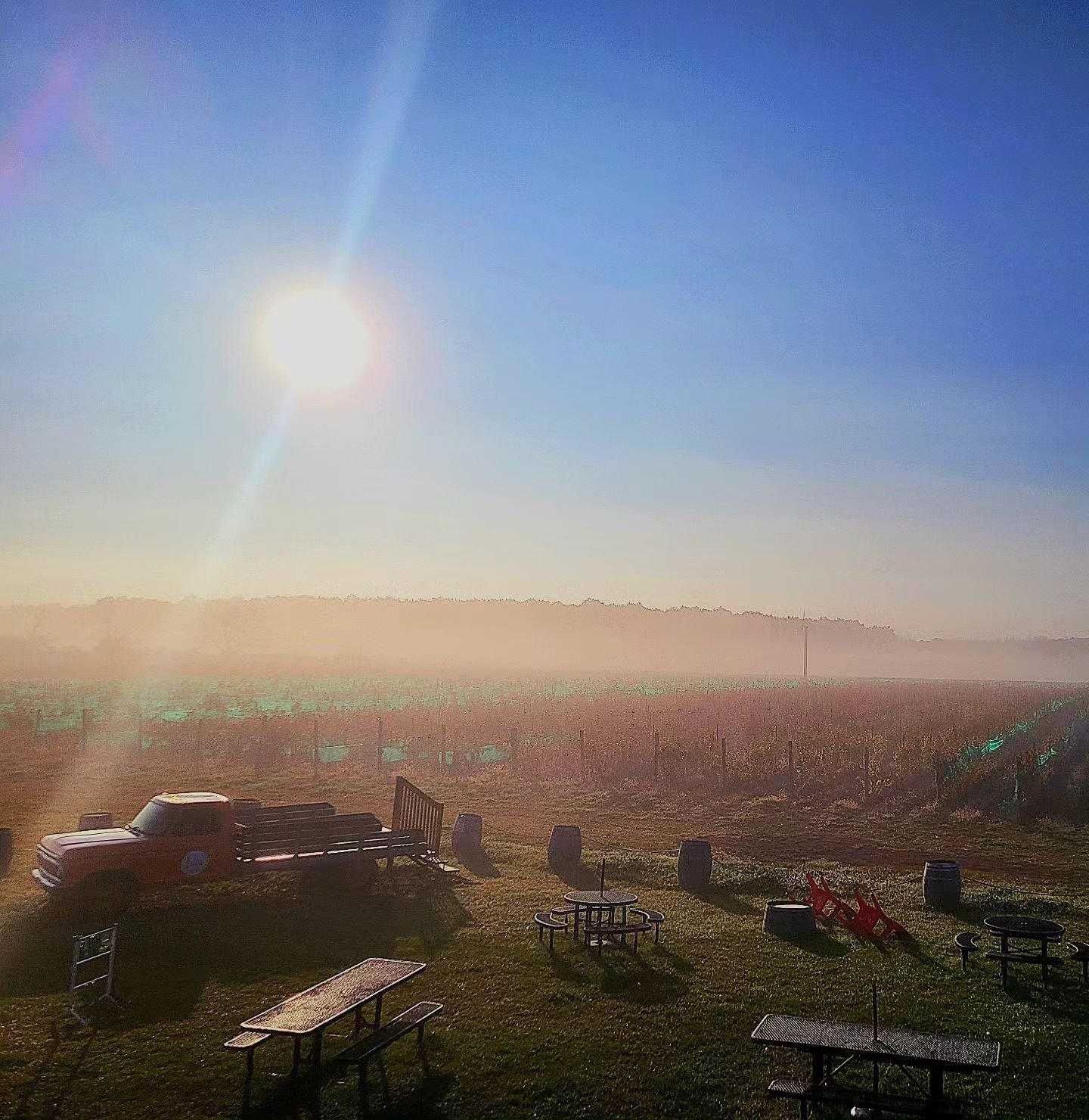 🌞🌞🌞 It's a beautiful day in Wine Country!  This fog will burn off before you start your wine tour, so we got out early and captured it for you! 

Enjoy #pumpkinfest in Wellington and then head out for some wine tasting.  We're here from 11am to 5p