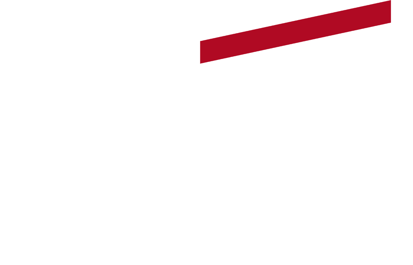 RVK MMA