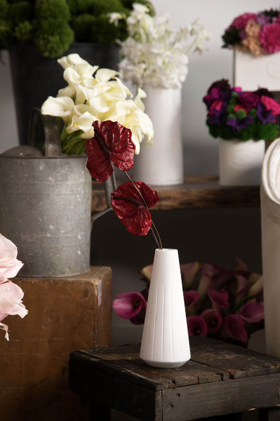 Screen Shot 2023-05-09 at 9.56.17 AM.png