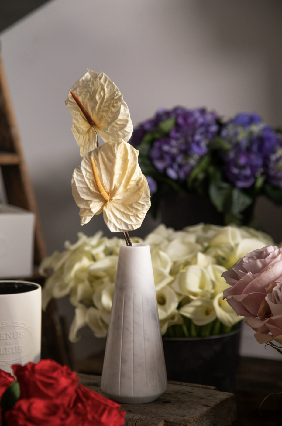 Screen Shot 2023-05-09 at 9.56.04 AM.png