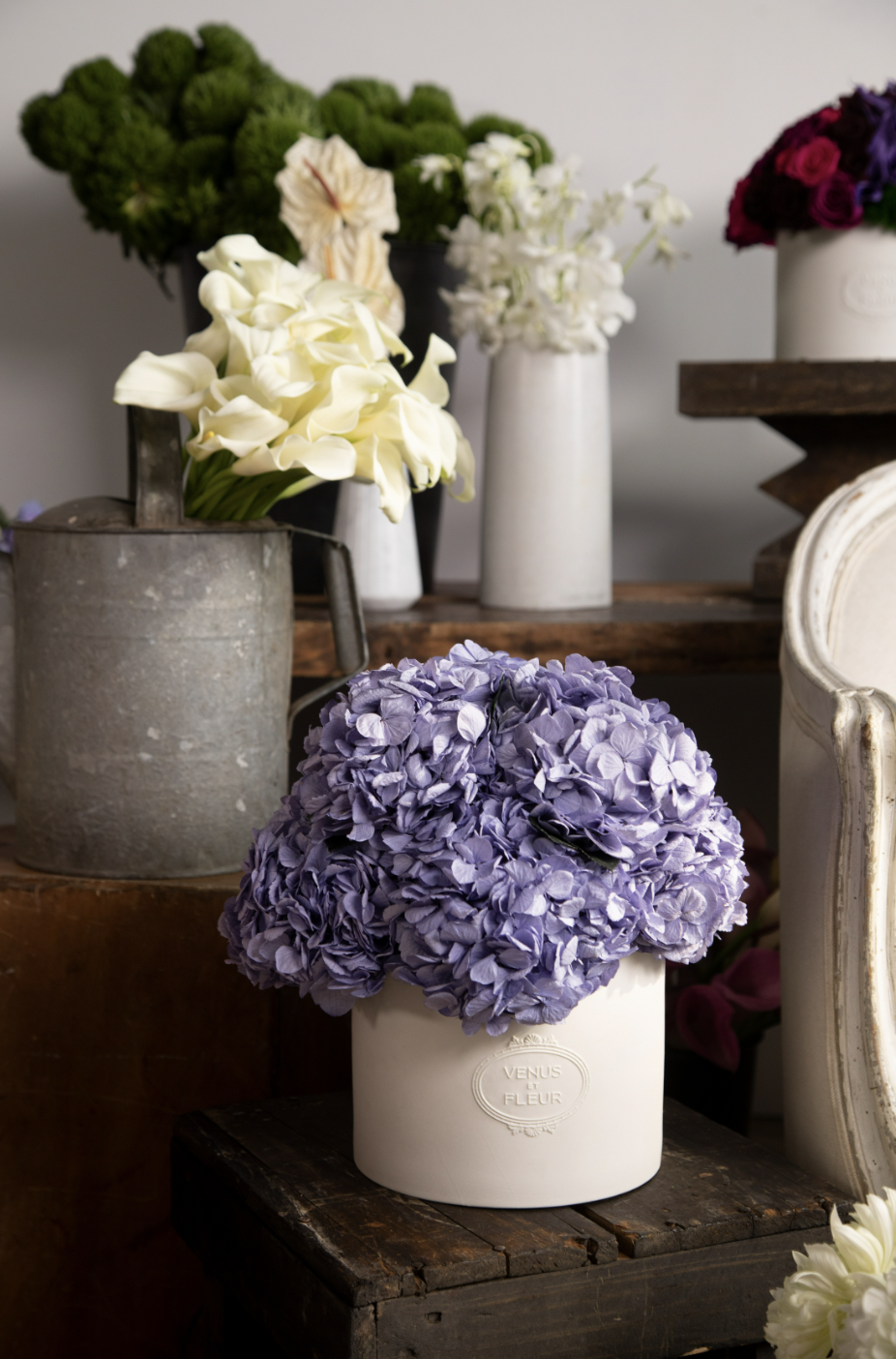 Screen Shot 2023-05-09 at 9.55.24 AM.png