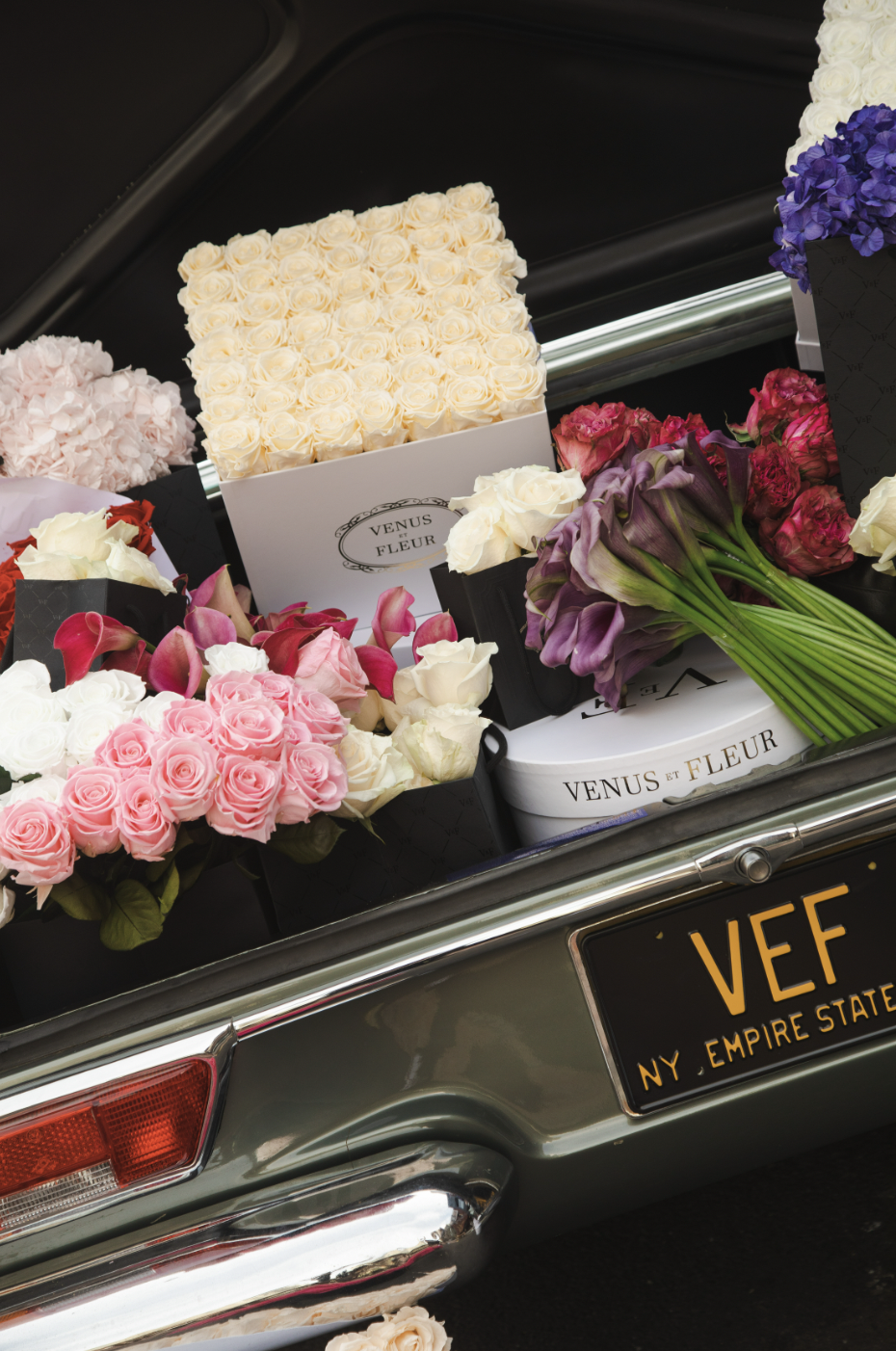 Screen Shot 2023-05-09 at 9.55.11 AM.png