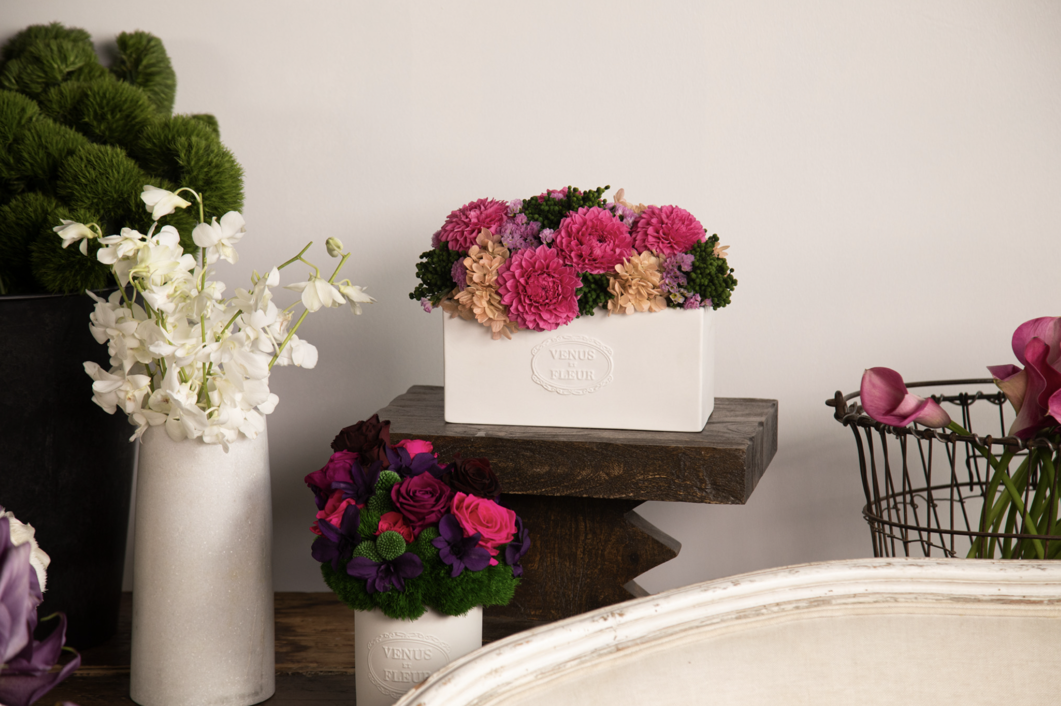 Screen Shot 2023-05-09 at 9.56.34 AM.png