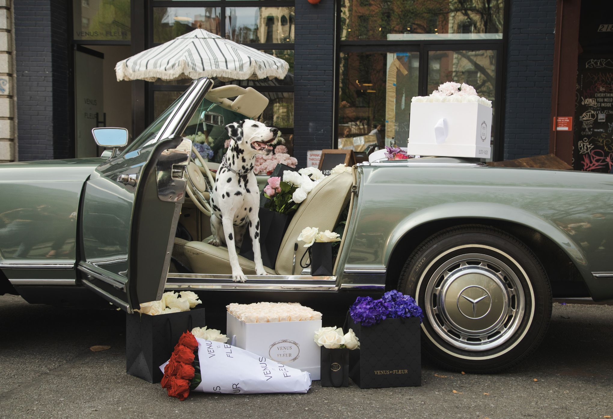 Screen Shot 2023-05-09 at 9.54.51 AM.png