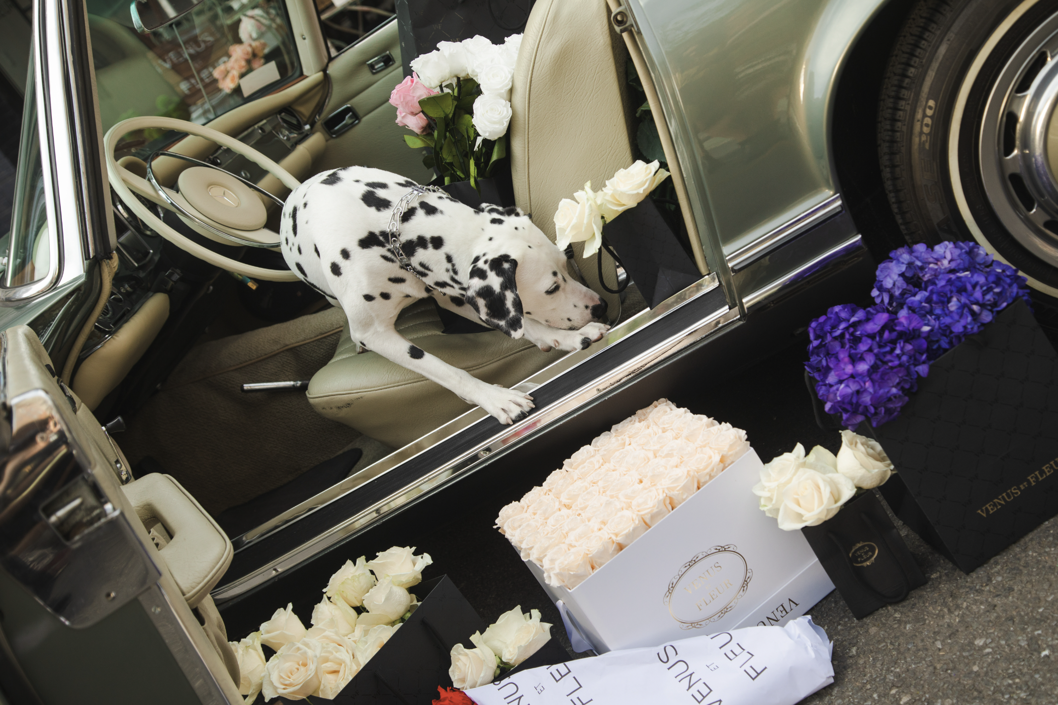 Screen Shot 2023-05-09 at 9.54.42 AM.png