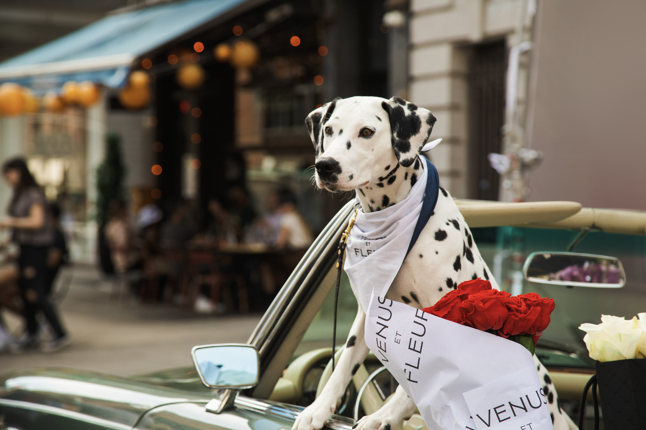 Screen Shot 2023-05-09 at 9.54.29 AM.png