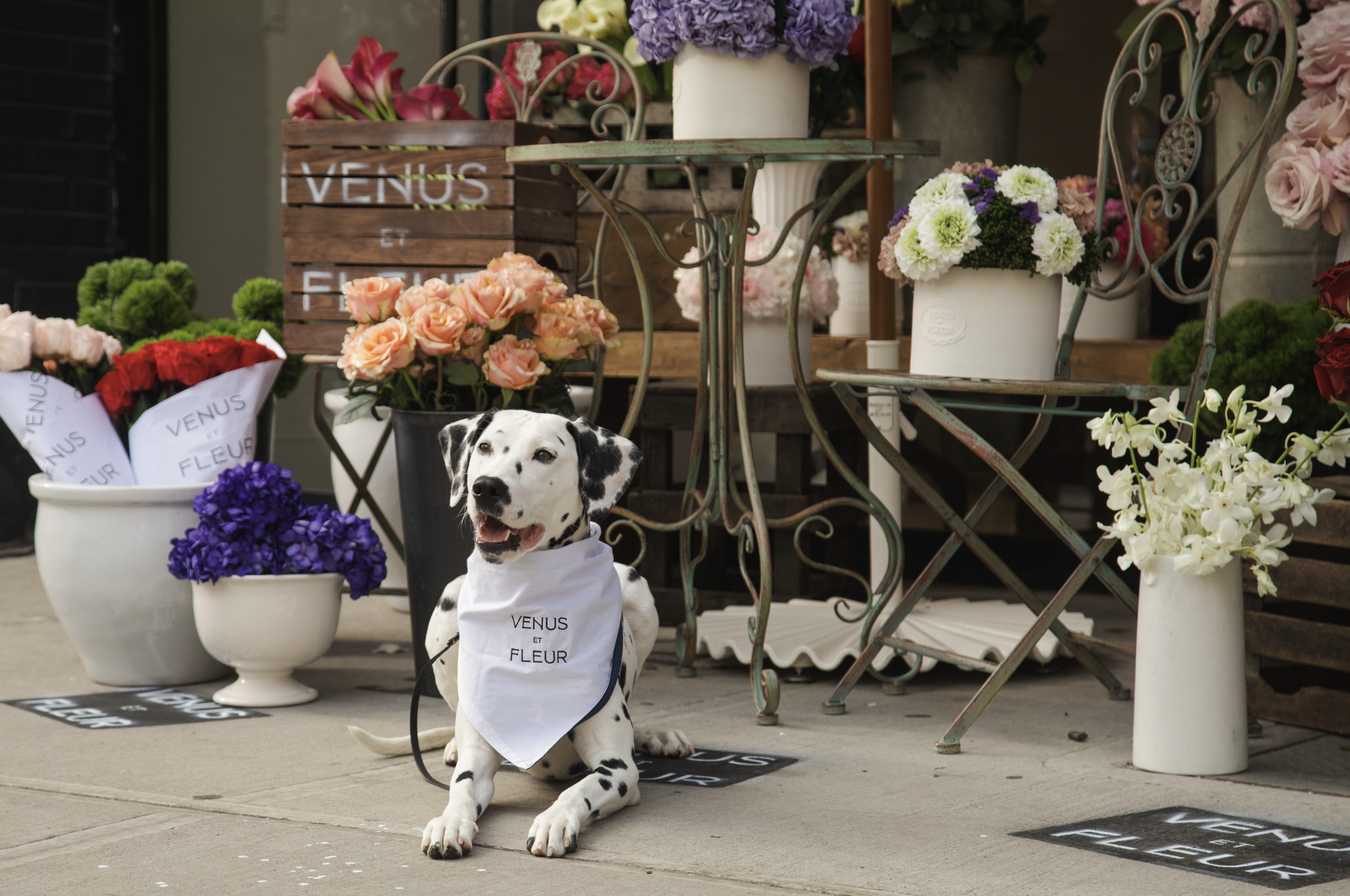 Screen Shot 2023-05-09 at 9.54.03 AM.png