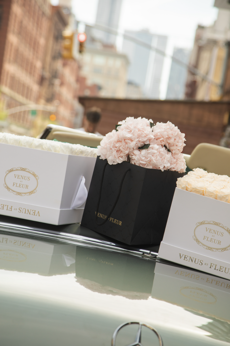 Screen Shot 2023-05-09 at 9.54.23 AM.png