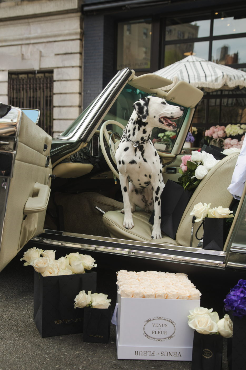 Screen Shot 2023-05-09 at 9.54.36 AM.png