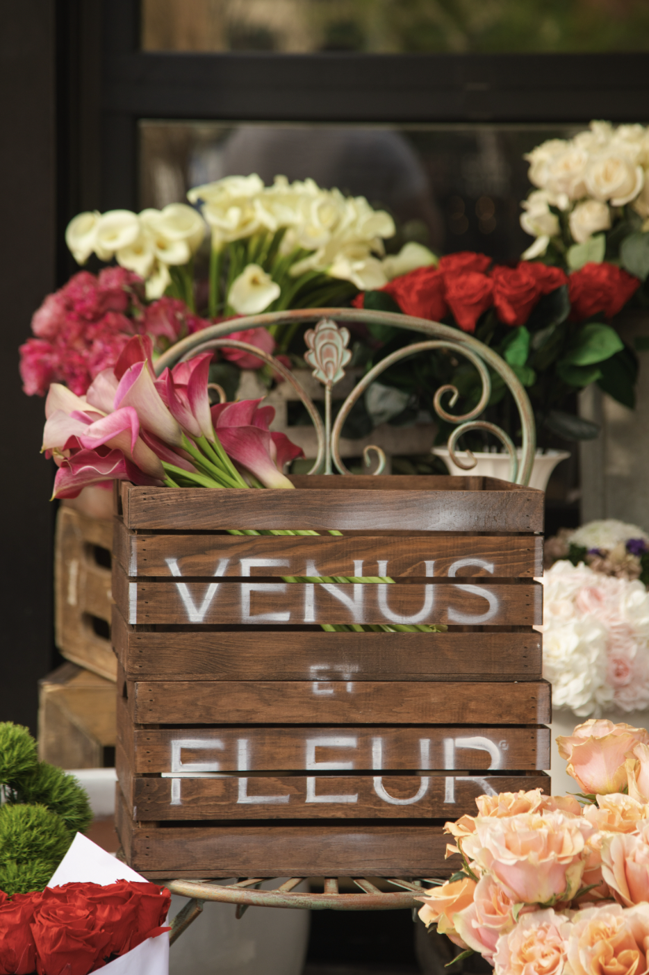 Screen Shot 2023-05-09 at 9.54.09 AM.png