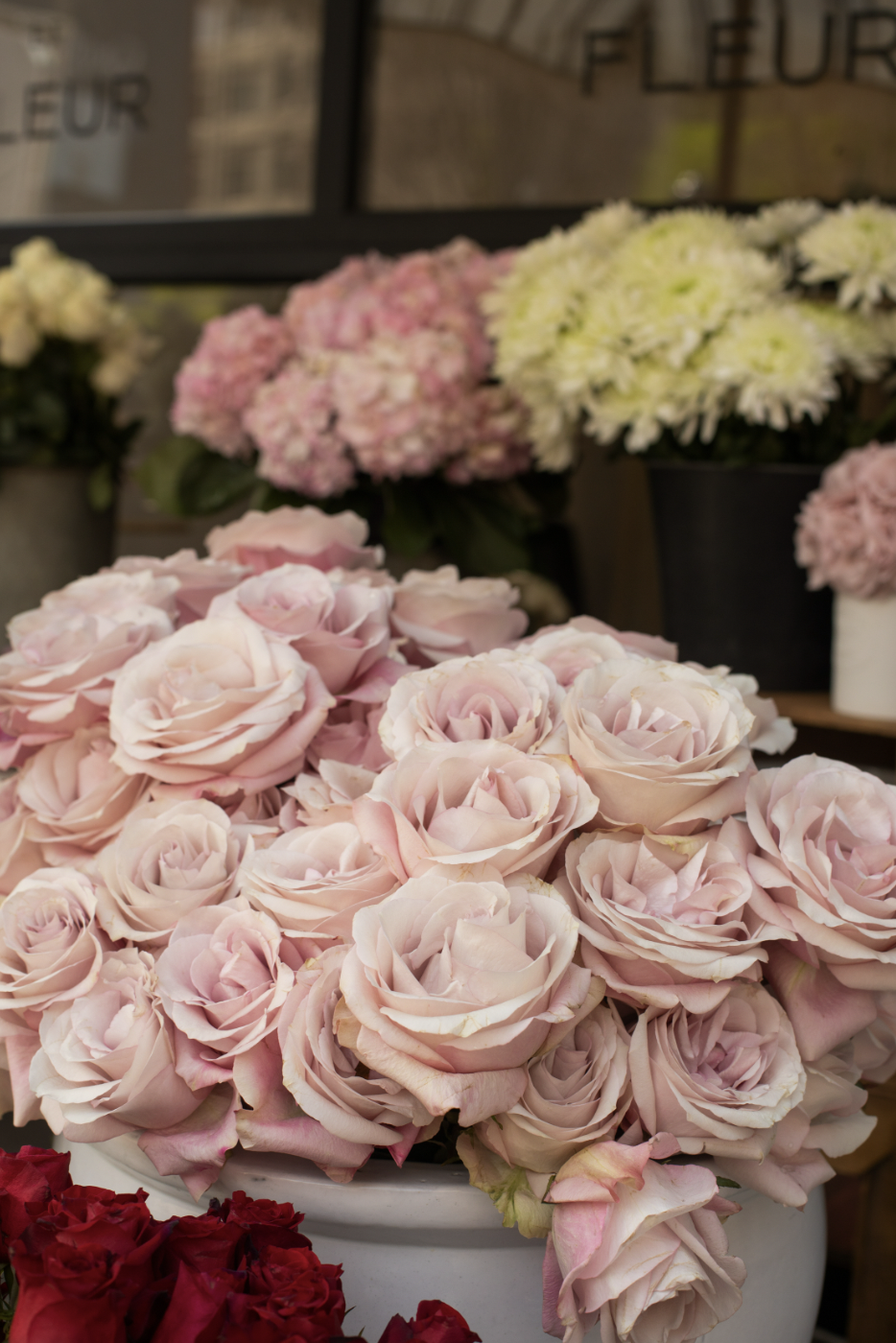 Screen Shot 2023-05-09 at 9.53.16 AM.png