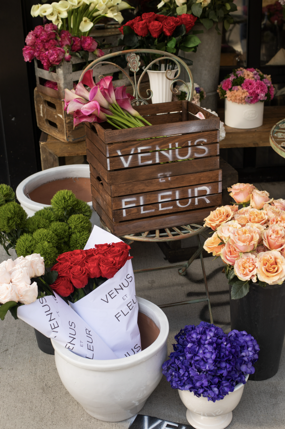 Screen Shot 2023-05-09 at 9.53.26 AM.png