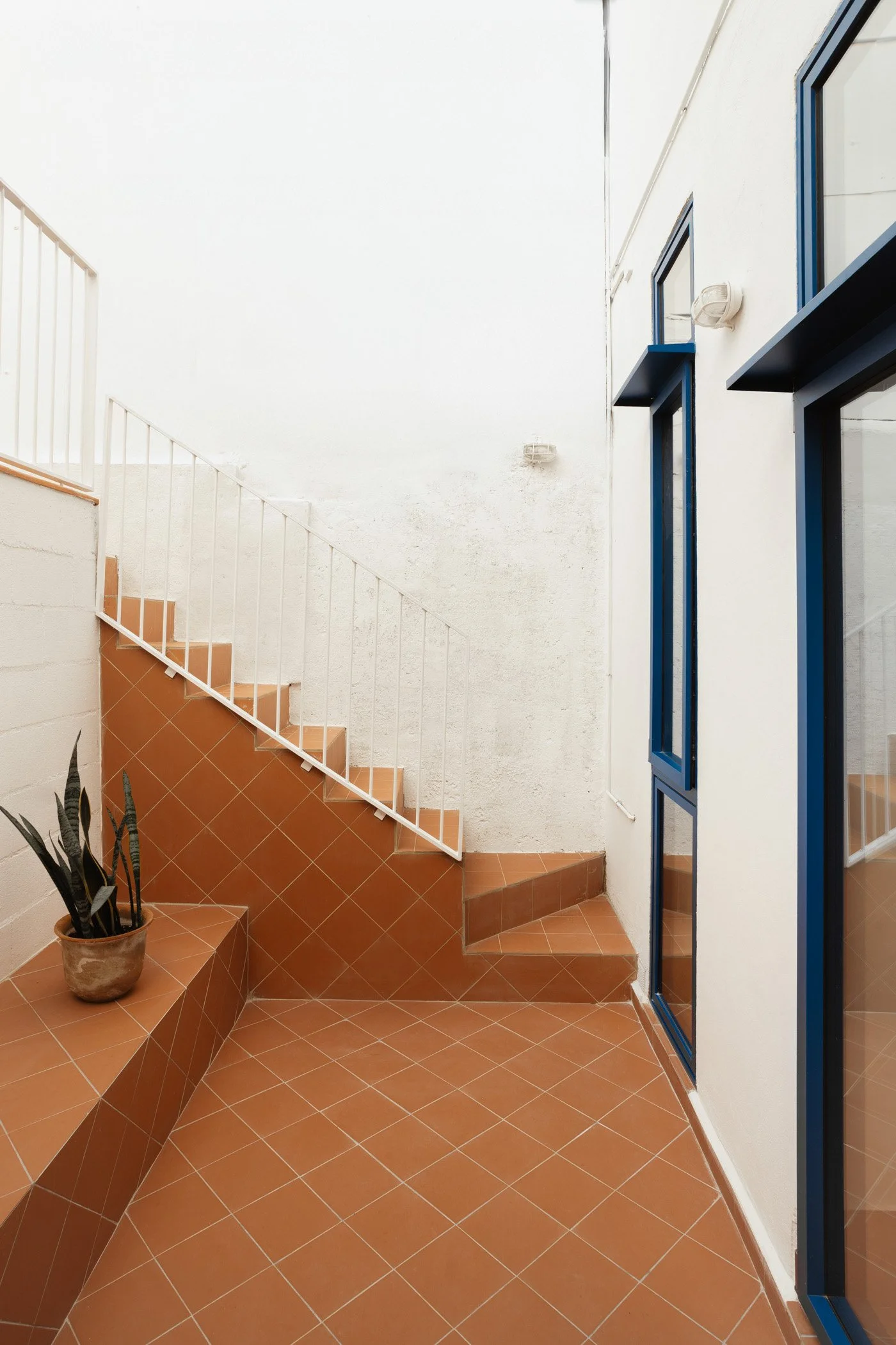 Estudio CO-A_Horta_BaixaRes07.jpg