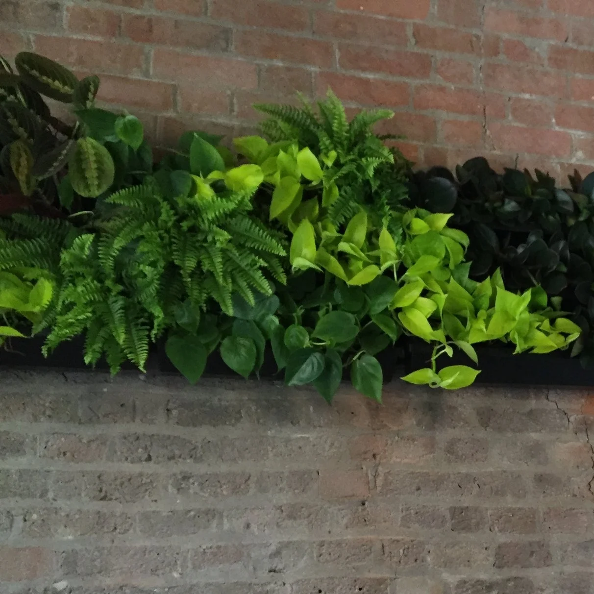 Living Walls & Water