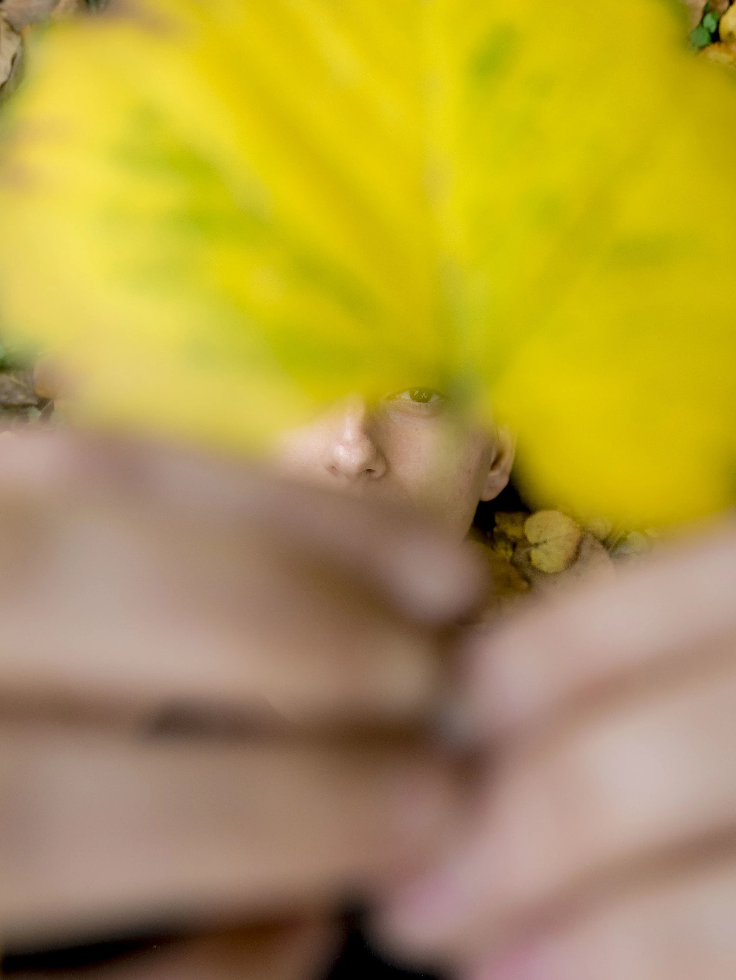 Portrait of Cecilia.JPG