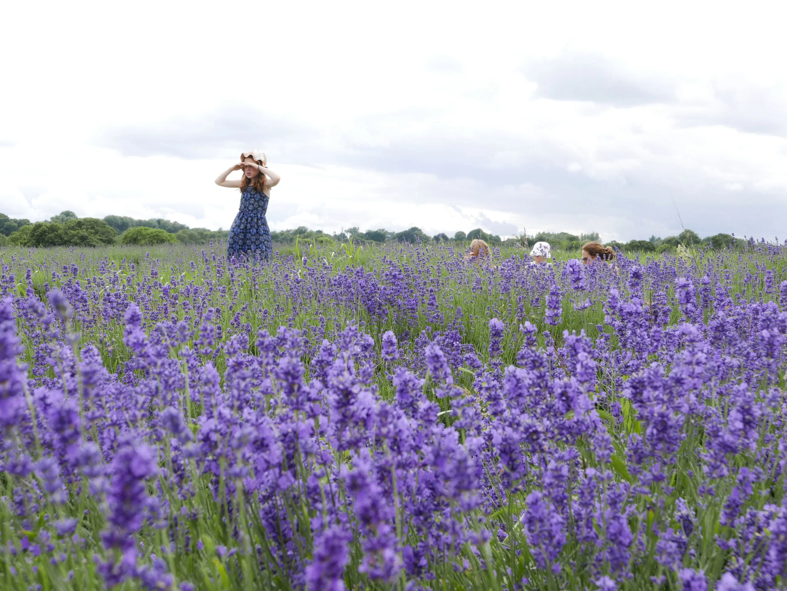 girl in lavender field.JPG