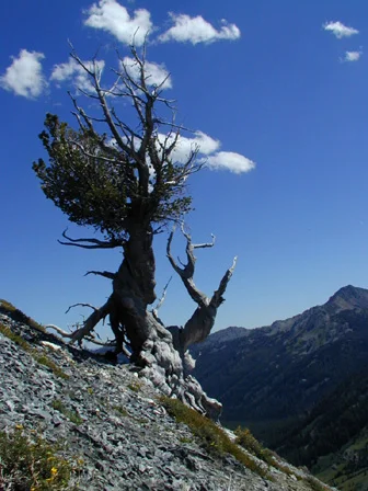 Cusick Mt Trip 144.jpg