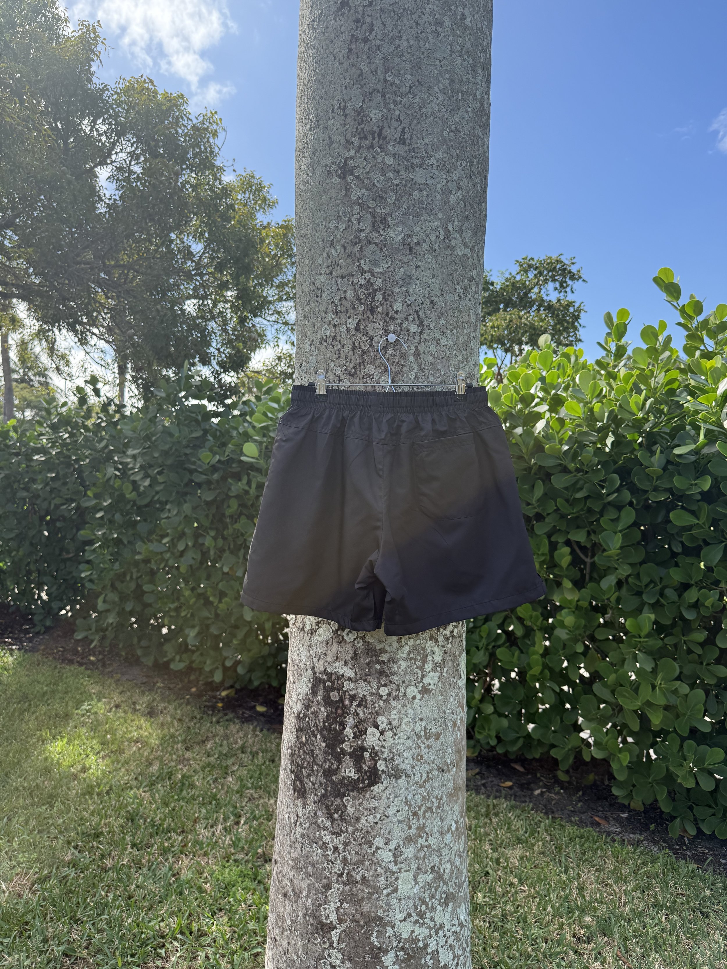 The Shorts back .jpg