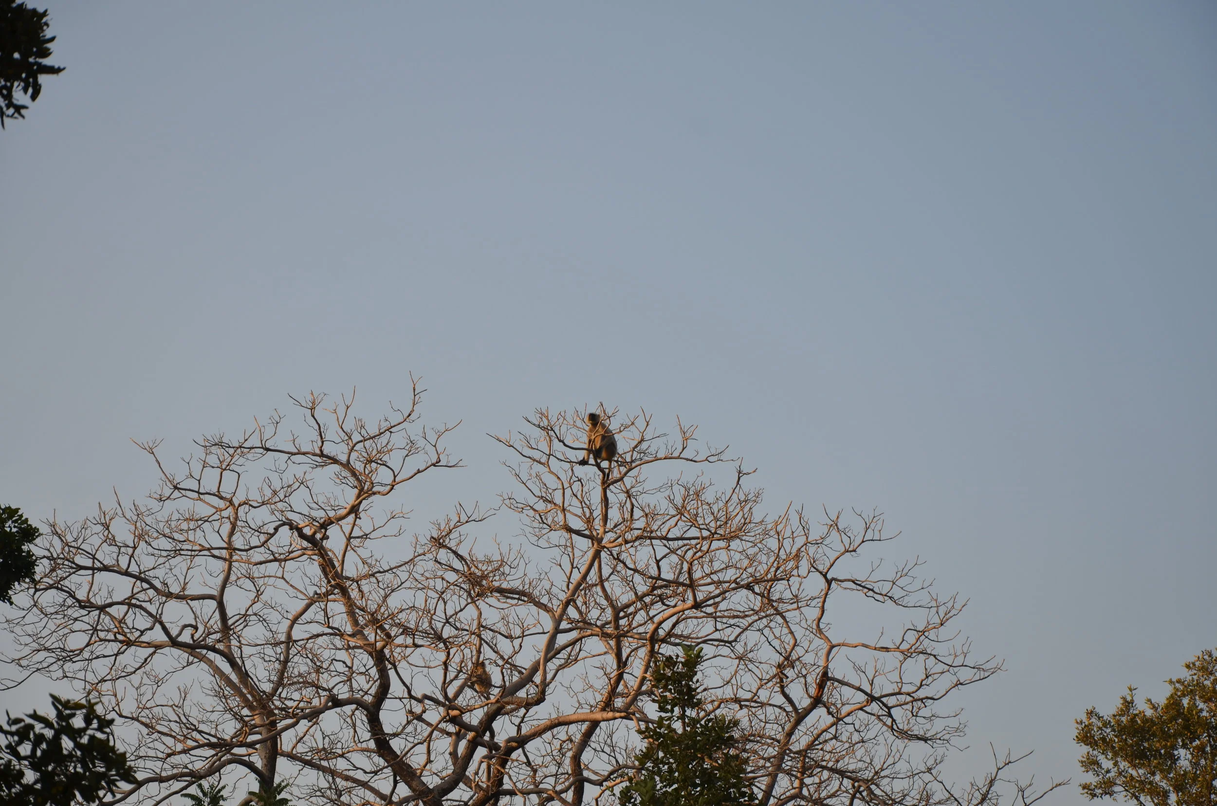 DSC_9395.JPG