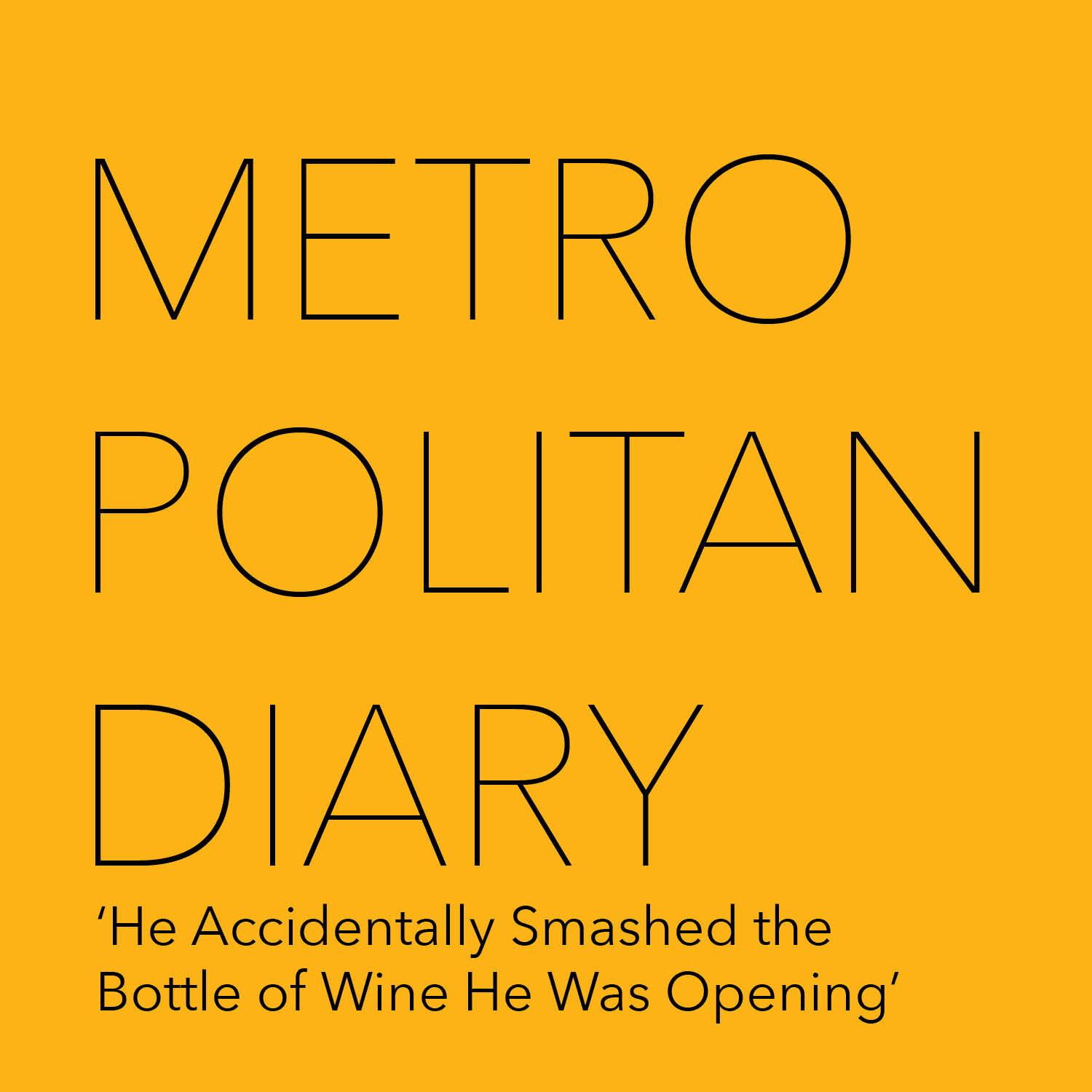 The Metropolitan Diary Book 