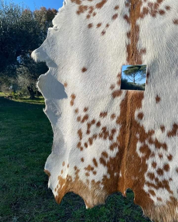 installazione contemporanea, arte italiana, pelle di capra, Alberto Emiliano Durante, sculture simboliche.jpeg