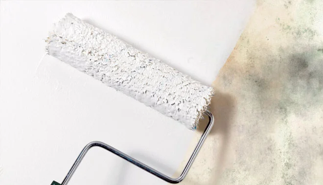 MSS-painting-over-mold.jpg
