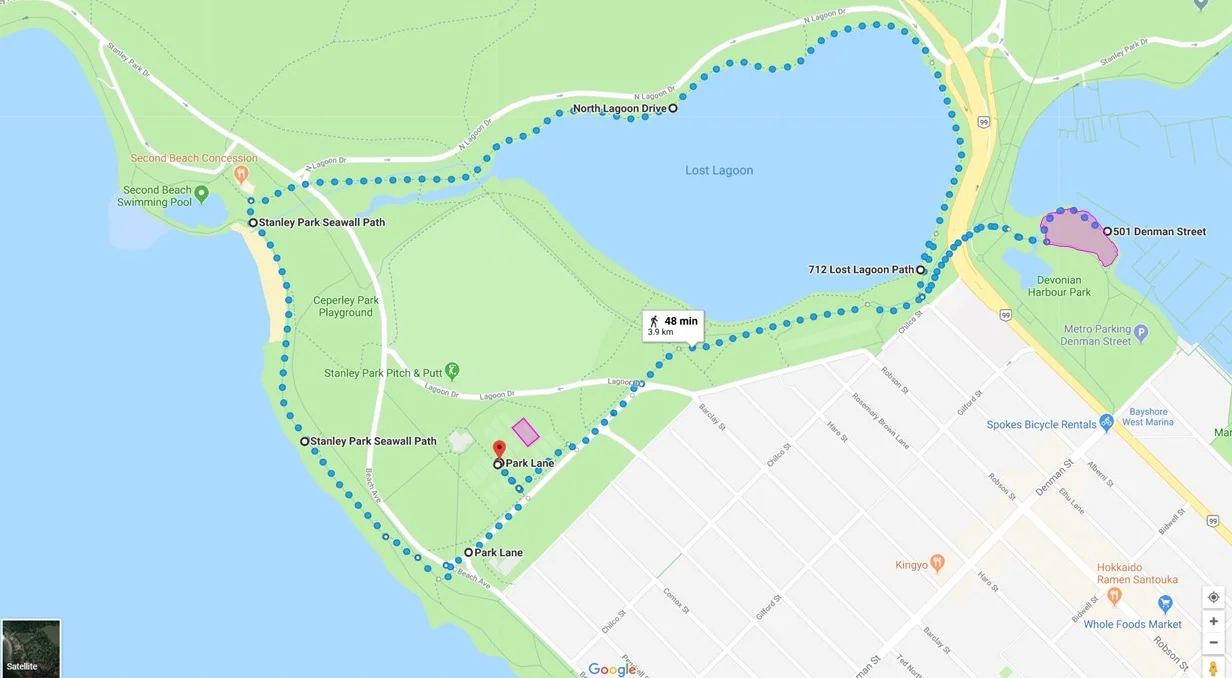 stanley-park-dog-walk.jpg
