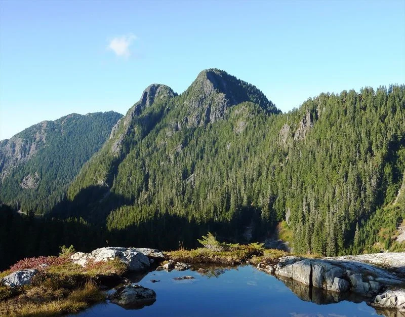 BoredInVancouver