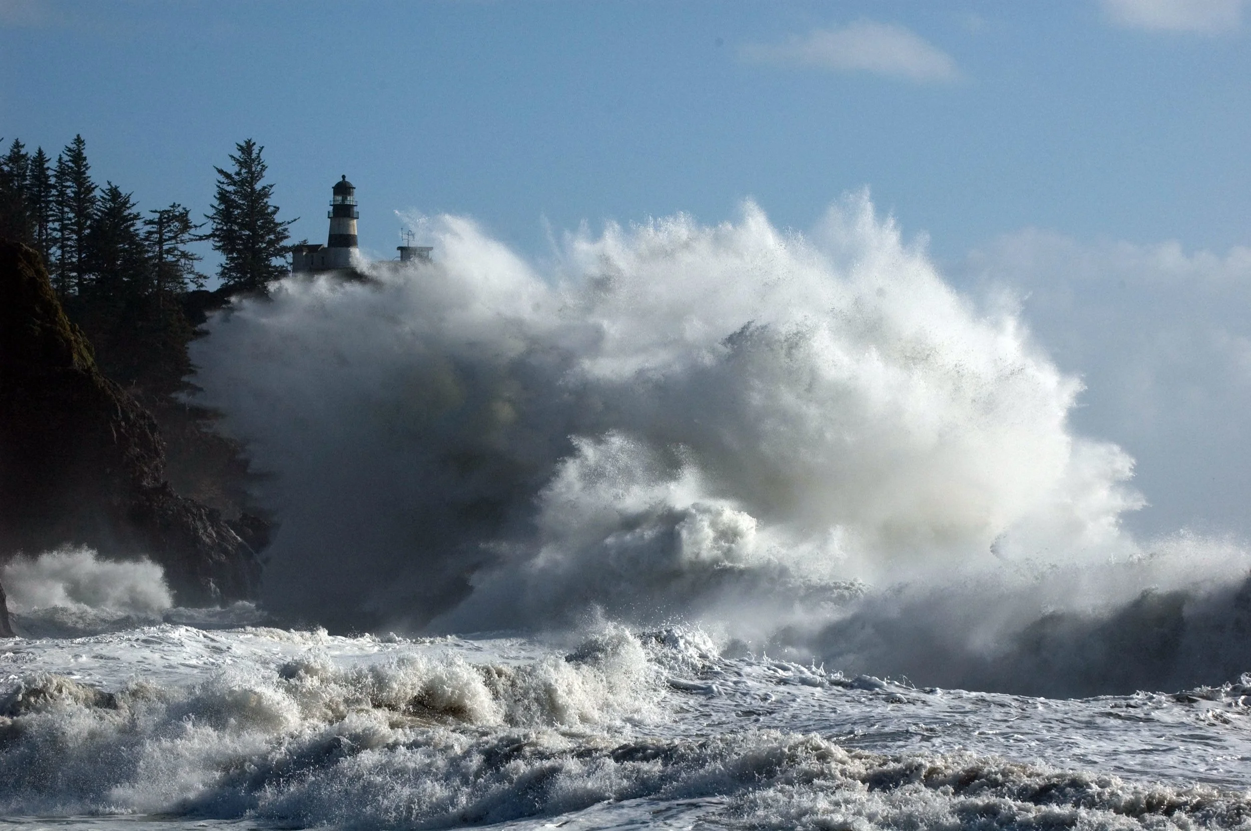 tofino2.jpg